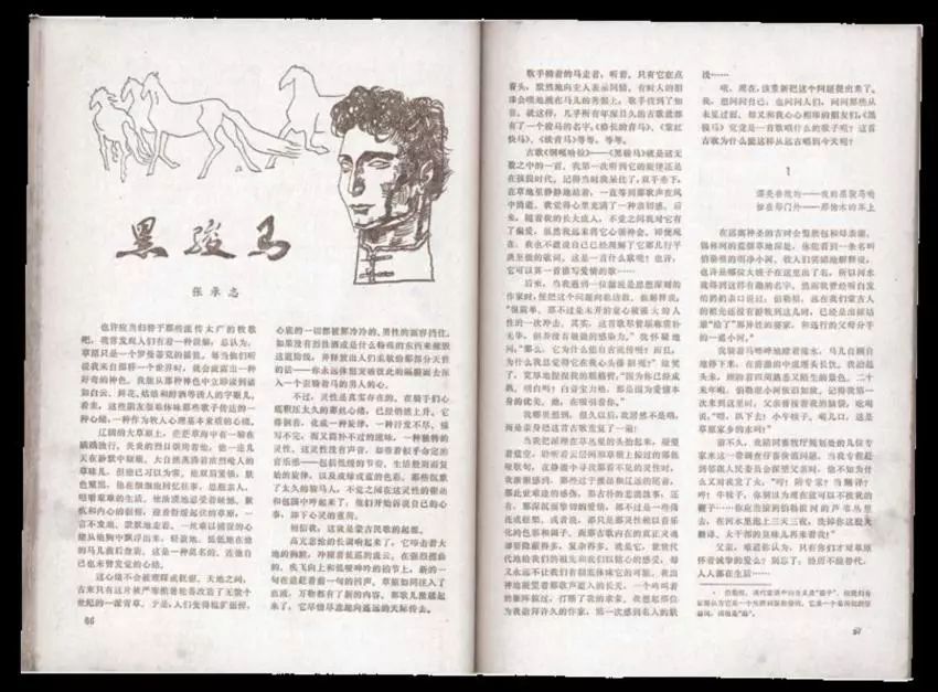 张承志中国散文作家,回民作家张承志争议