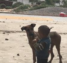 姑娘喝酒动图gif搞笑,醉酒图片gif