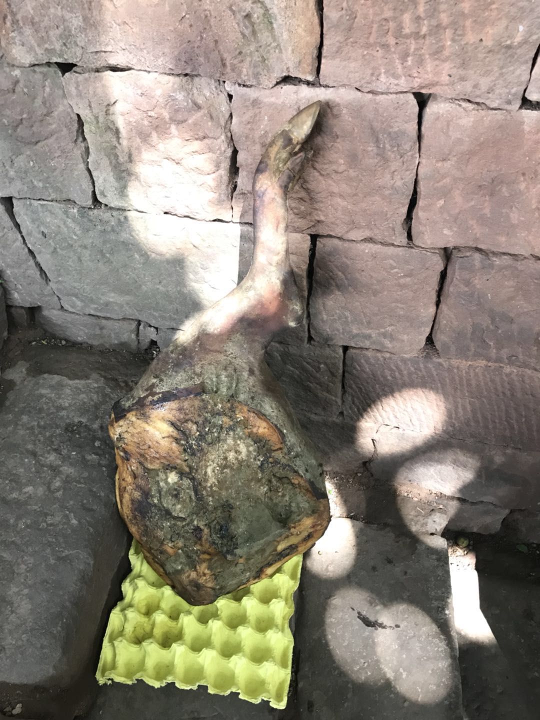 云南诺邓美食,云南最古老的诺邓白族古村