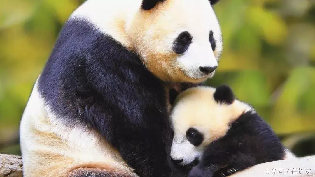 西安秦岭自驾一日游免费景点,西安出发一小时深藏秦岭山水秘境