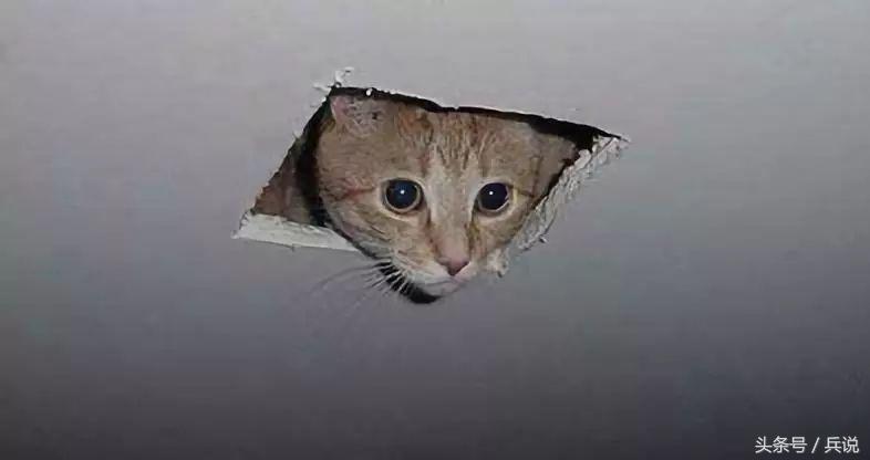 用冰打造的航母,用冰块造航母