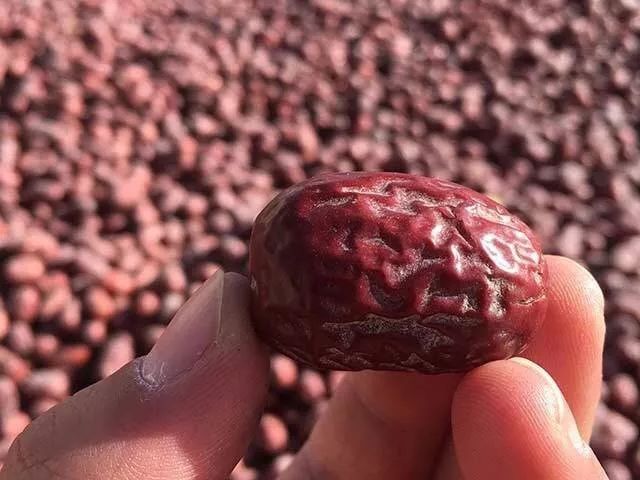 一条拼团｜日本植物精华染发膏，*疆新**若羌红枣