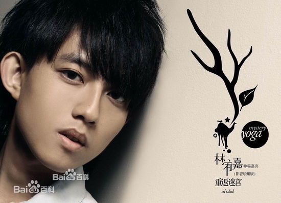 林宥嘉说谎的另一种说法,林宥嘉的说谎歌词意思