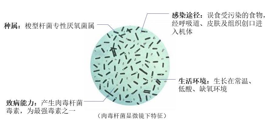 韩国粉肉瘦脸针安全吗,选择美容院打瘦脸针安全吗