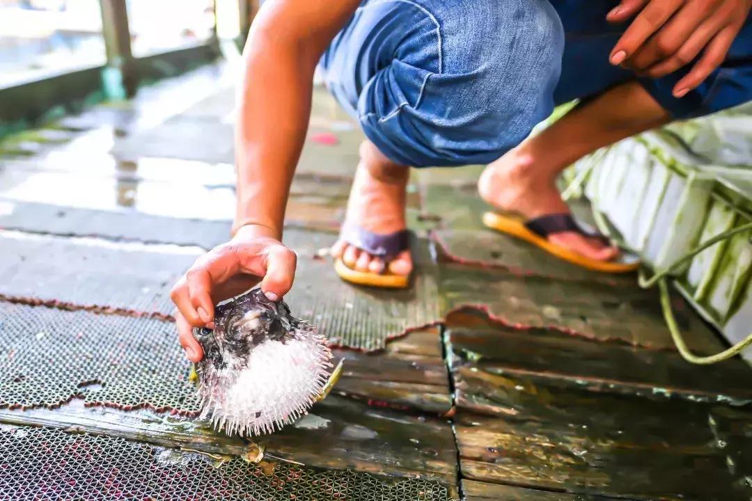 三亚火车头万人海鲜广场哪家好吃,在三亚3000元一桌的海鲜大餐