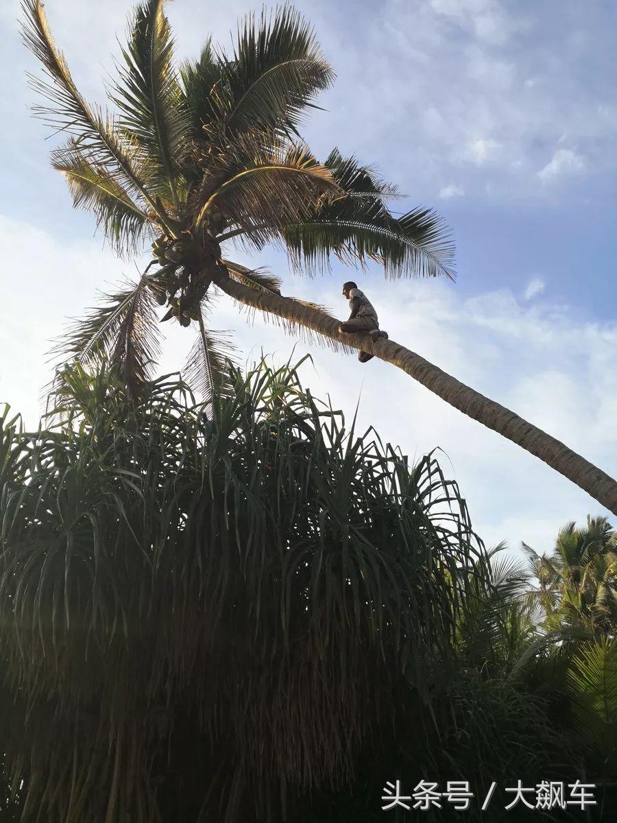 印象斯里兰卡全景,旅行记斯里兰卡