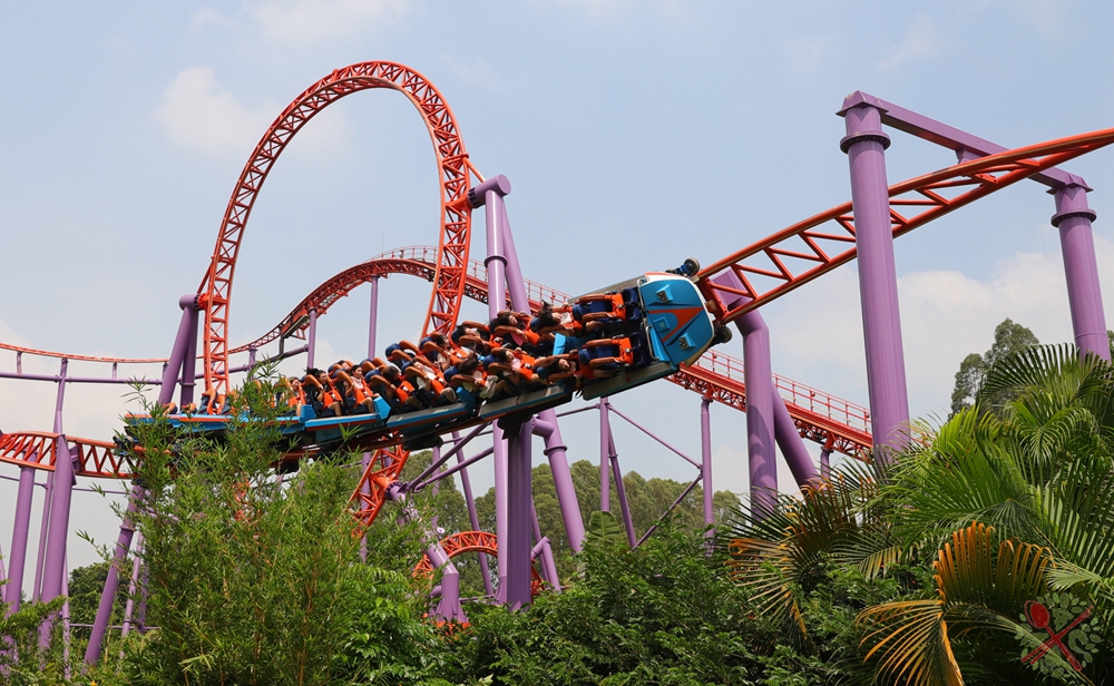 去广州长隆不住景区攻略,春节广州长隆不住园区怎么玩