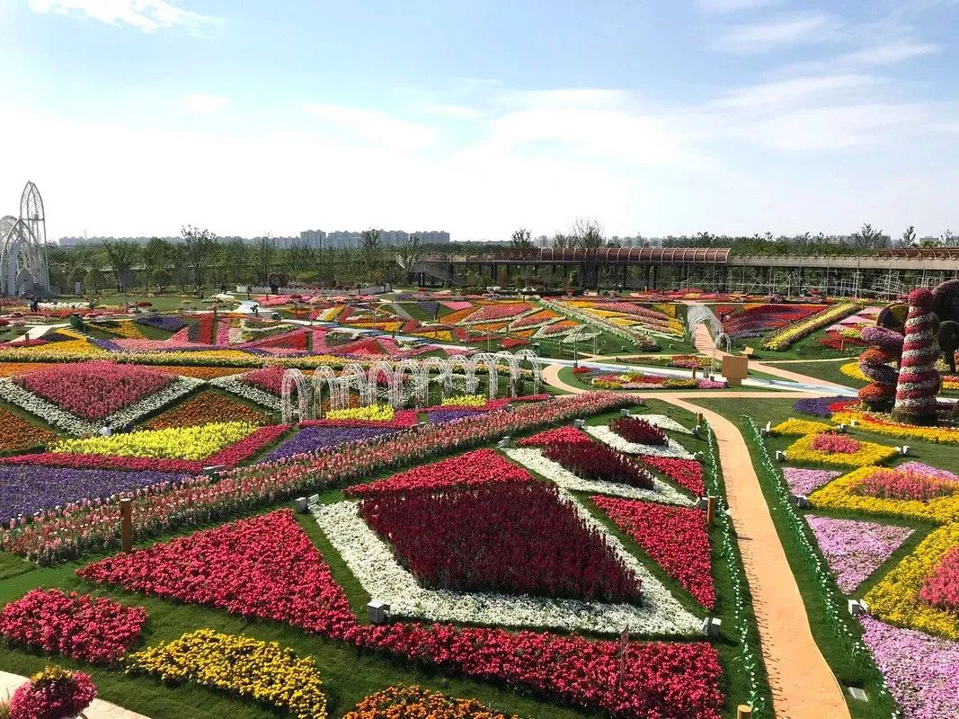 上海有个很美的公园,上海特别美而且安静的公园