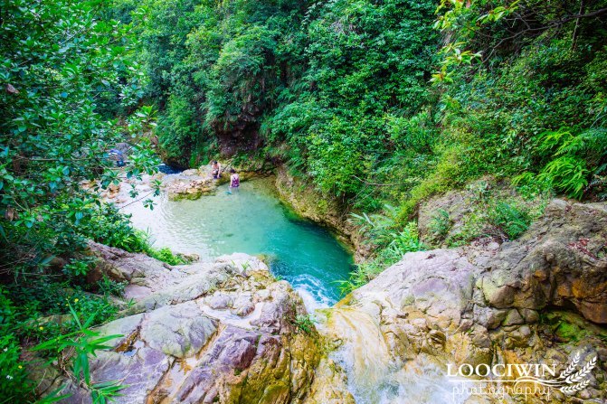 第一次采摘火龙果的体验,高明采摘火龙果