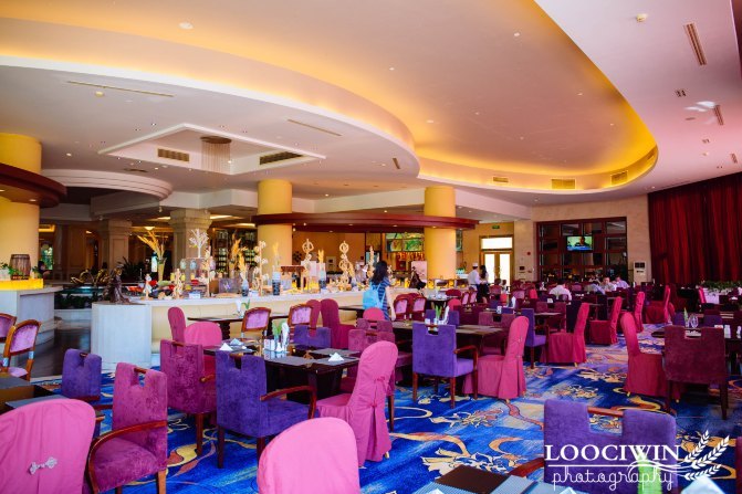 第一次采摘火龙果的体验,高明采摘火龙果