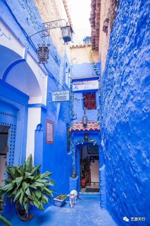 可以逃离的旅行地方,可以旅行的城市