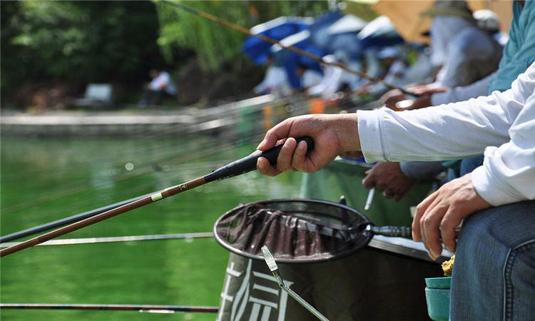 路亚新手鱼线入门教程,台钓新手入门鱼线篇