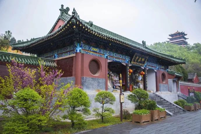 郑州出发自驾最美路线,郑州周边最美的自驾公路