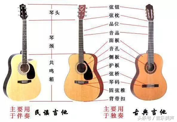 学吉他要知道的知识点,学吉他须知的事项
