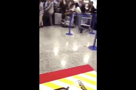 全国百日严打整治行动抓捕人数,三次全国范围的严打行动