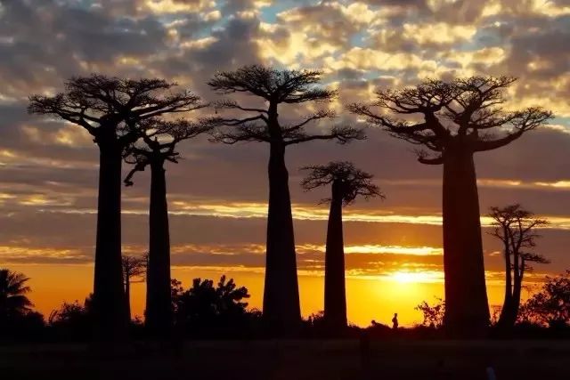 旅行达人排行榜100名,旅行推荐达人视频