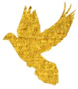 激光近视手术去潍坊眼科医院,潍坊近视眼激光矫正手术多少钱