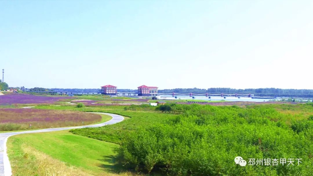 国庆假期去哪玩？邳州这6处景点少走一处都是遗憾！