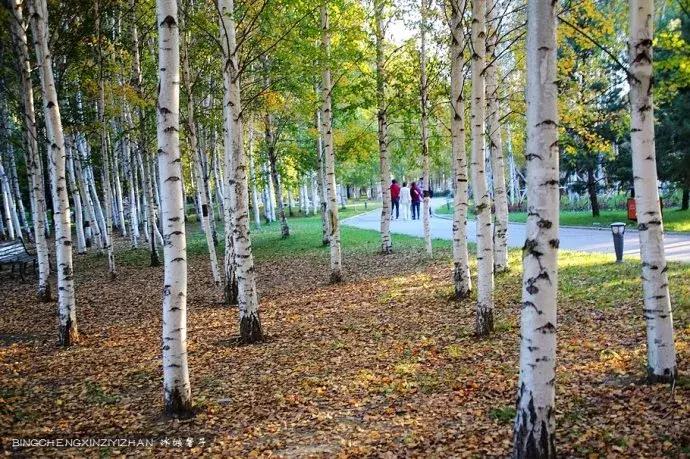 哈尔滨隐藏的景点伏尔加庄园,哈尔滨国庆节去哪里