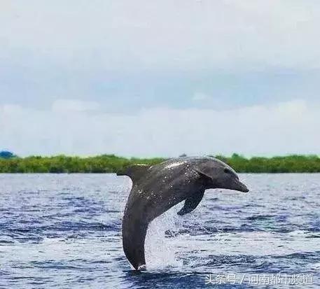 把别人骗得团团转,把一个人骗得团团转