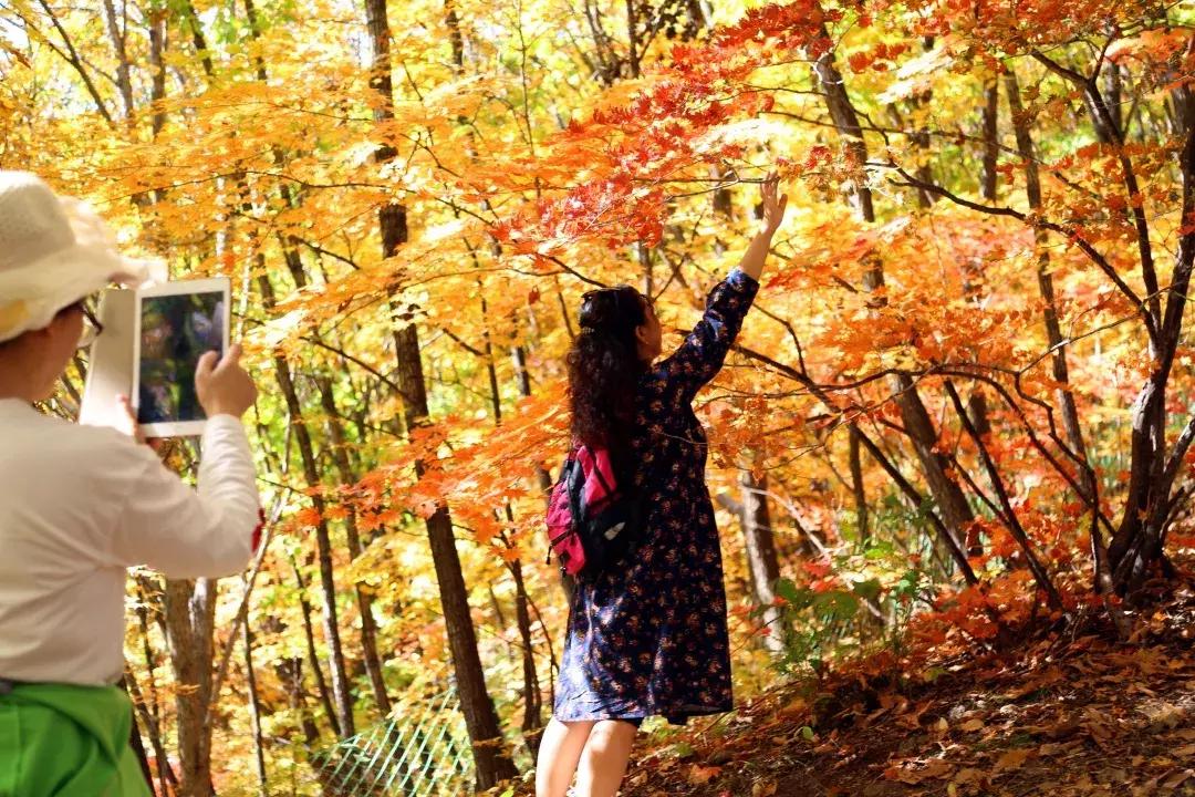 云南一天的游客人流量,云南人多的景点怎么拍照