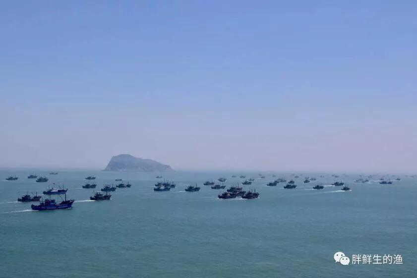 九节虾斑节虾,黑虎虾斑节虾九节虾哪个好吃