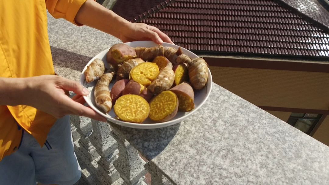 青田旅游必去十大景点,青田旅游攻略必去的景点