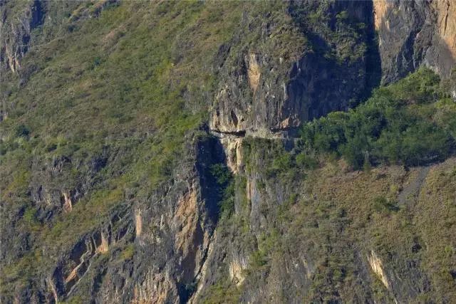 美丽会东·荐读丨命脉（5）