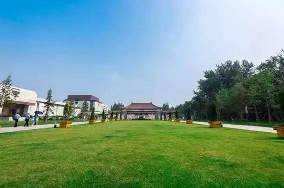 出去人从众,玄武为你安排了身边的风景