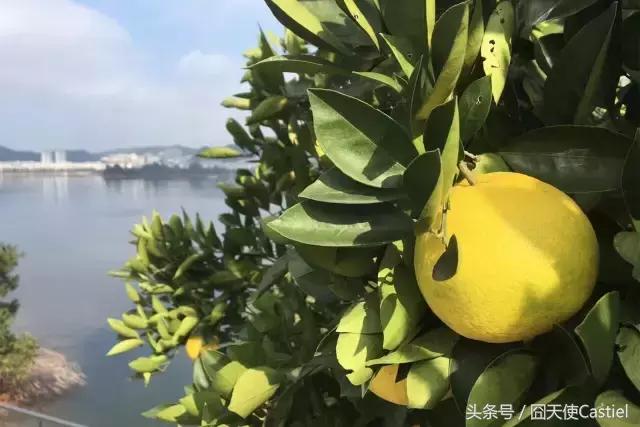 一位大叔改造农村自建房,40多岁大叔改造海景房