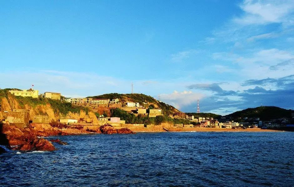 适合带着去旅行的宠物,宠物旅行攻略如何带宠物出门旅游