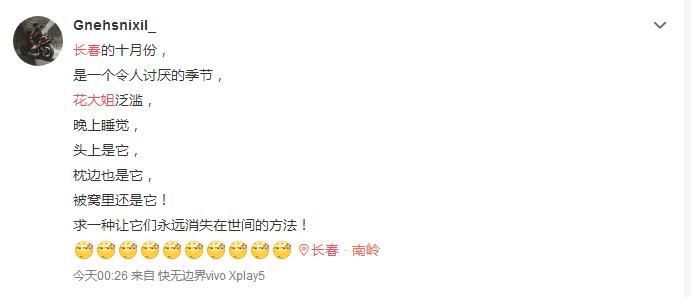 它们竟是“活农药”！一大拨可爱又烦人“花大姐”造访长春