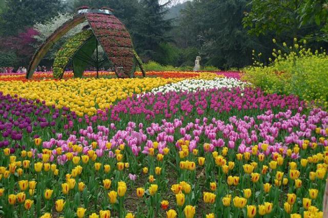 重庆最新旅游大全,重庆全集免费观看