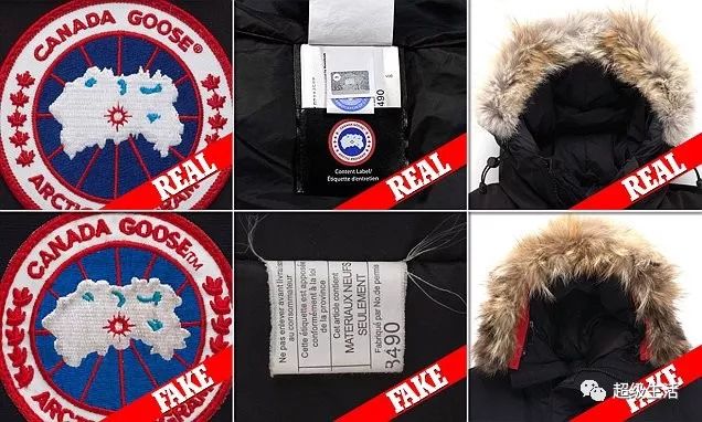 加拿大鹅卖假货,加拿大鹅打架事件