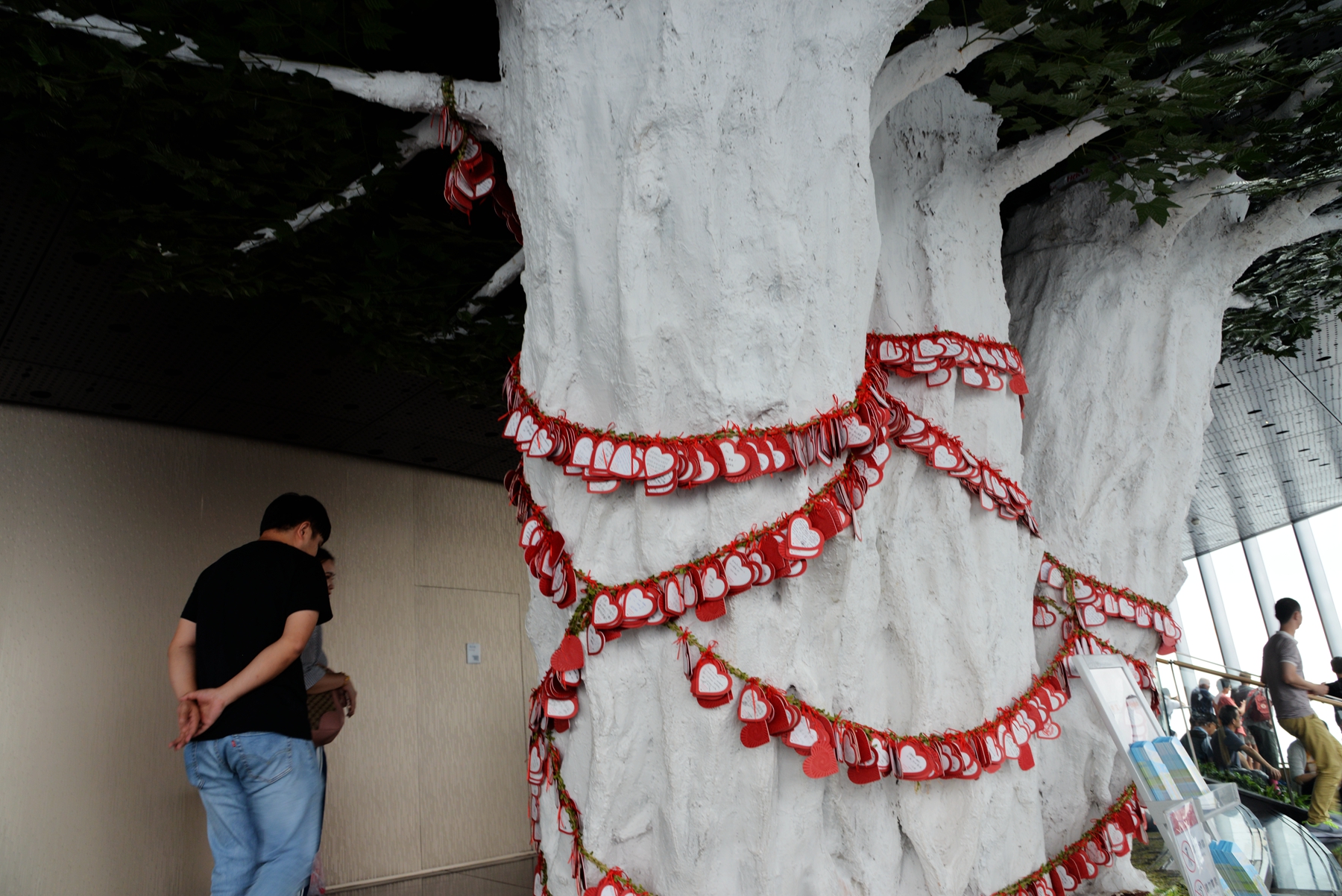 上海深度一日游,浦东金桥镇一日游