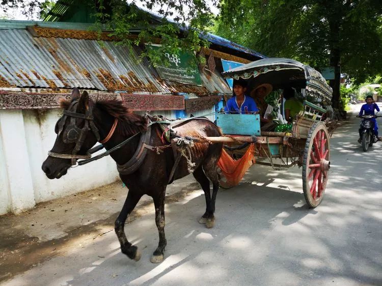 一个人的自由行西藏,一个人的泰国自由行
