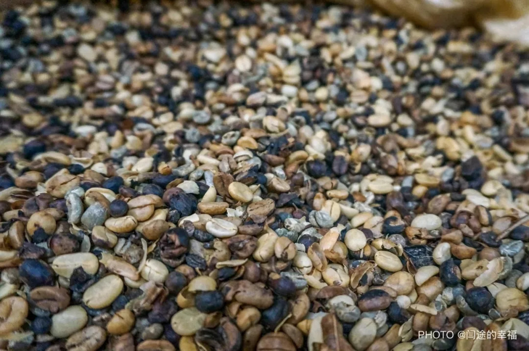 了解咖啡从什么开始,哥斯达黎加咖啡豆属于哪个洲