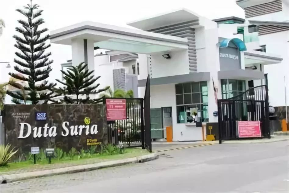 体育的力量之职业之路,体育的力量熠熠发光