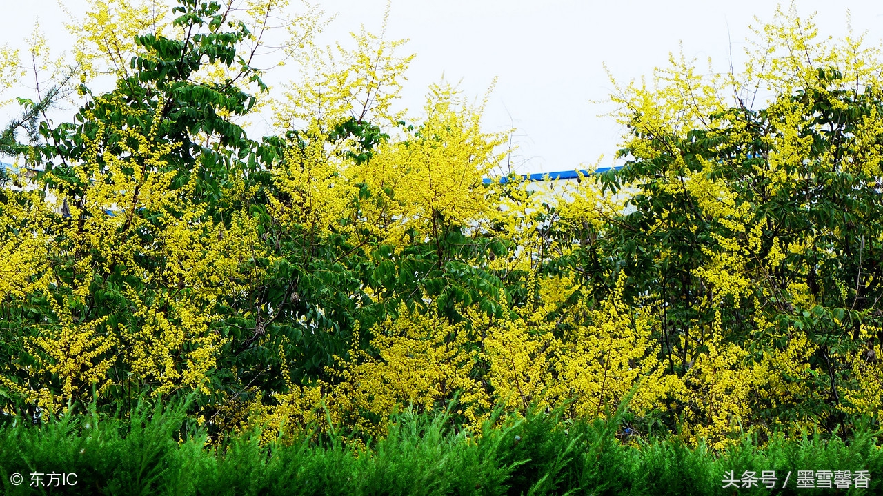 对待得寸进尺的人无需一忍再忍,不要把我的容忍当作你的得寸进尺