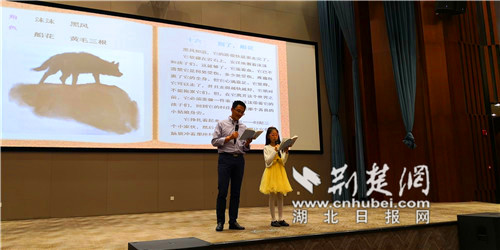 疯狗浪遇到渔船,疯狗浪攻击船只