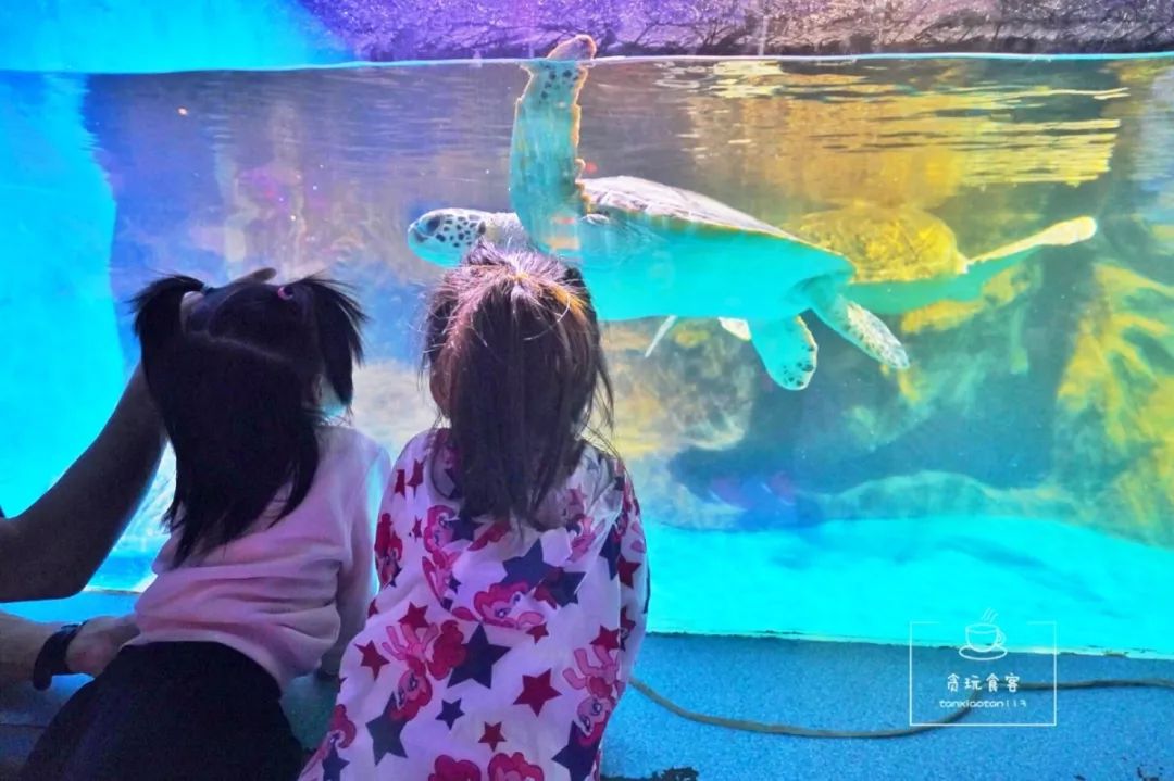 秦皇岛北戴河区必玩的十大景点,秦皇岛北戴河旅游详细攻略