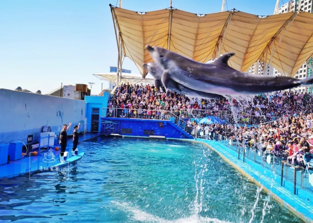 秦皇岛北戴河最值得玩5个地方,秦皇岛北戴河好玩的地方免费