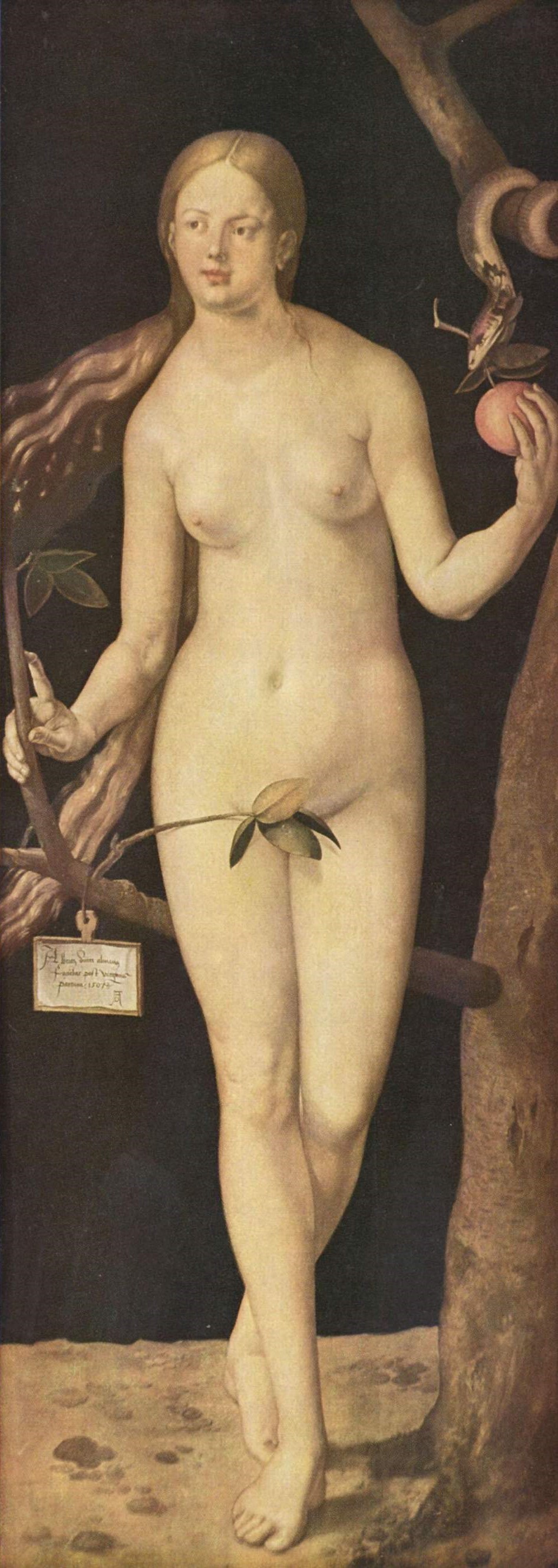 丢勒生平经历,丢勒的经历