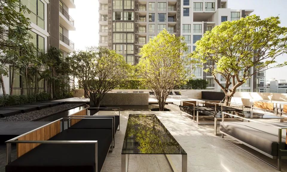 屋顶景观设计常见问题,设计园林的思路