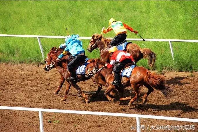 大庆这个城市未来会有发展吗,大庆哪个县发展潜力大