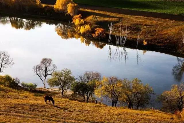草原风光宛如油画 (呼伦贝尔大草原美图)