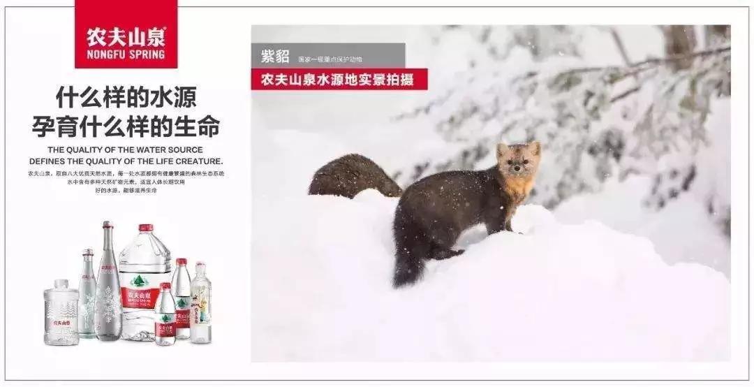 品牌管理是销售吗,品牌管理营销沟通的原则