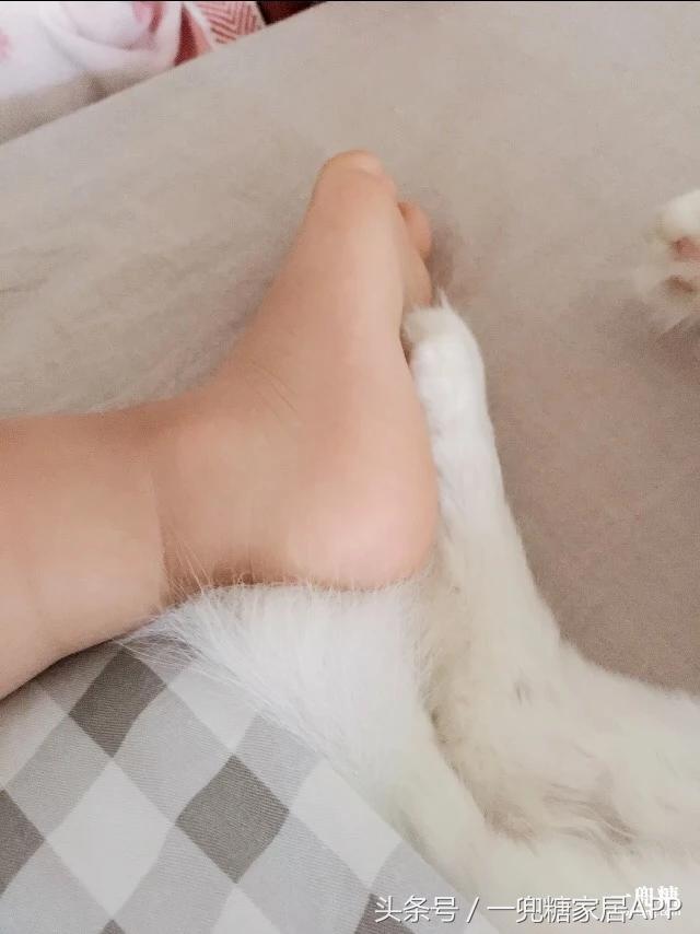 五口之家的房间,五口之家60平复式