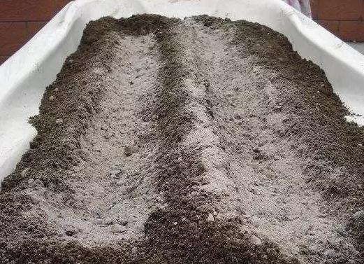 花儿除虫的妙招,花儿生虫用什么药