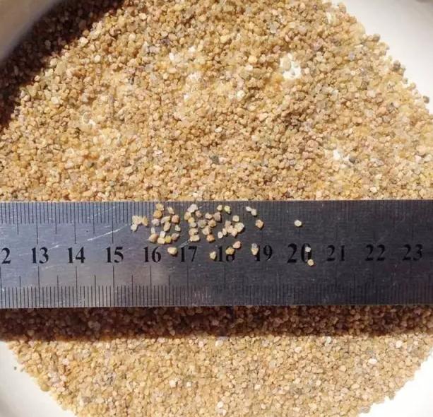 花儿生虫了用什么杀虫好,花儿生虫怎么办打什么药